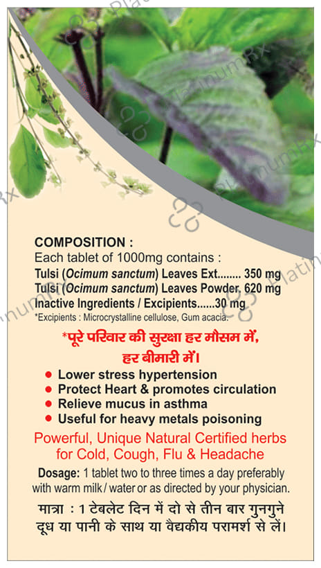 Basic Ayurveda Tulsi (Basil) Tablet
