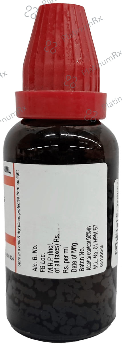 Dr Willmar Schwabe India Polyporus Pinicola Dilution 200 CH