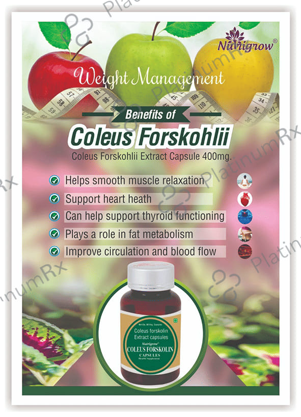 Nutrigrow Coleus Forskolin Capsule