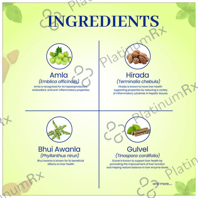BVG Life Sciences LVR 24 Syrup for Healthy Liver