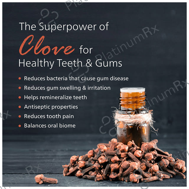 Dentomist Herbal Tooth Powder (100gm Each) 1 Bottle