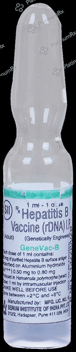 GeneVac-B Adult Vaccine 1 Injection
