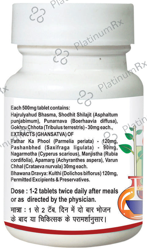 Baidyanath (Nagpur) Pathrina Tablet
