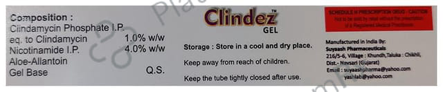 Clindez Gel 20gm
