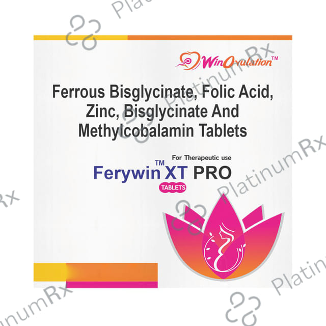 Ferywin XT Pro Tablet