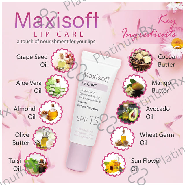 Maxisoft Lip Care SPF 15 (10gm Each) 2 Tubes