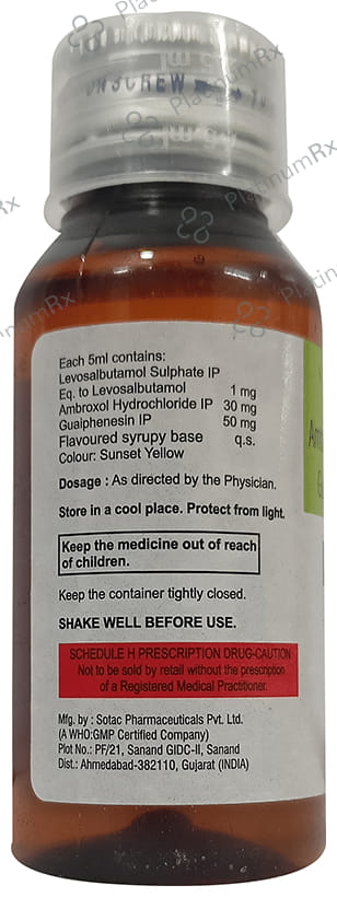 Salphyllin LS Syrup 60 Syrup