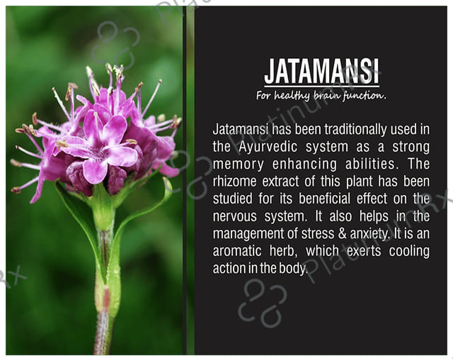 Health Mart Jatamansi 500mg Brain Tonic Capsule