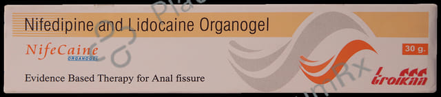 Nifecaine Cream 30gm