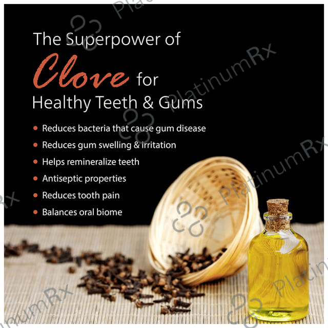 Dentopride Herbal Toothpowder (100gm Each) 1 Bottle
