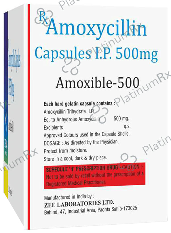 Amoxible 500 Capsule