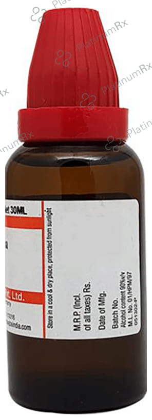 Dr Willmar Schwabe India Damiana Mother Tincture Q