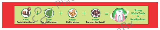 Baidyanath Red Toothpaste