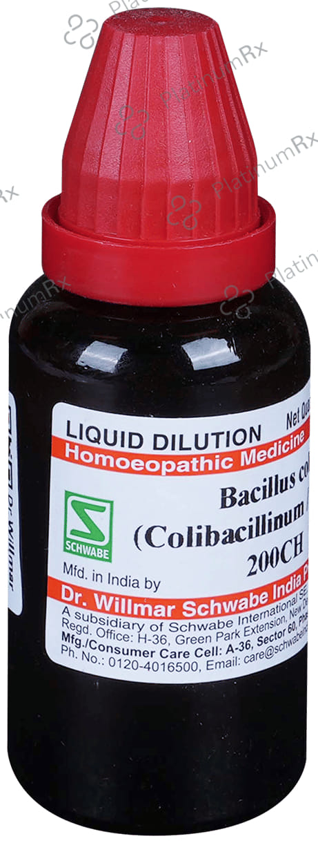 Dr Willmar Schwabe India Bacillus Coli Dilution 200 CH
