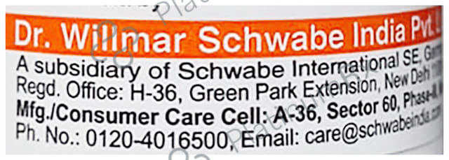 Dr Willmar Schwabe India Gun Powder Trituration Tablet 3X