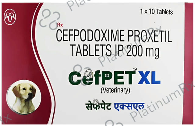 Cefpet XL 200mg Tablet 10s