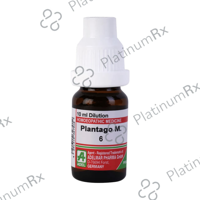 ADEL Plantago M. Dilution 6