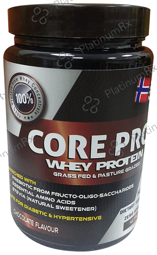 Core Pro Whey Protein Chocolate Flavour Powder 200gm