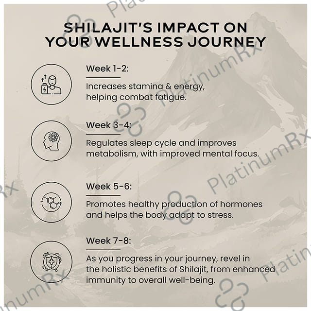 Wellbeing Nutrition Pure Himalayan Shilajit Resin