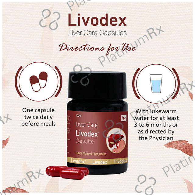 Livodex Liver Care Capsule (10 Each) 1 Bottle