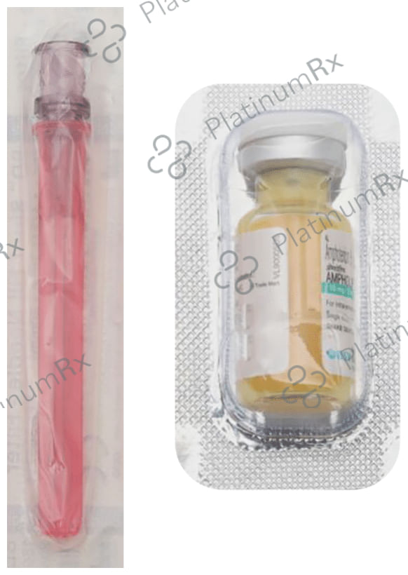 AMPHOLIP 10 MG INJECTION