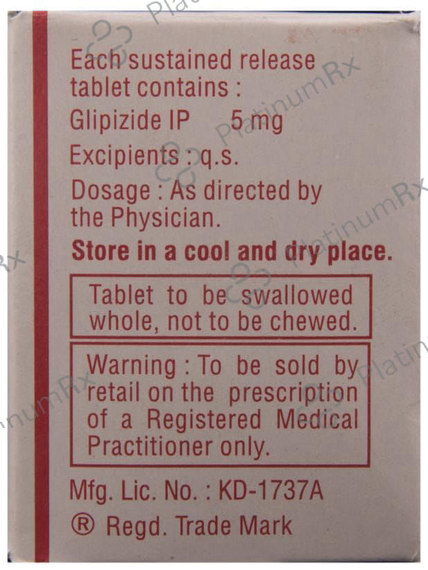 Glynase XL 5mg Tablet SR 10s