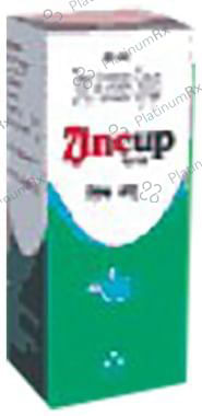 Zinc UP Syrup 50 Syrup