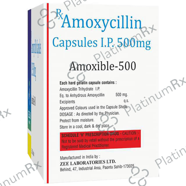 Amoxible 500 Capsule