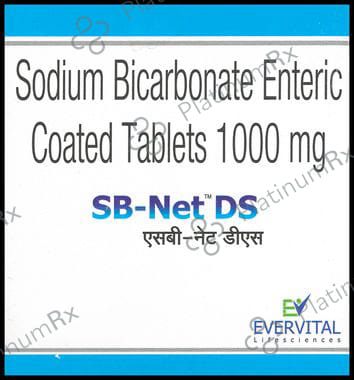 SB-Net DS Tablet