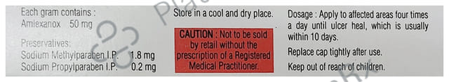 Lexanox Oral Paste 10gm