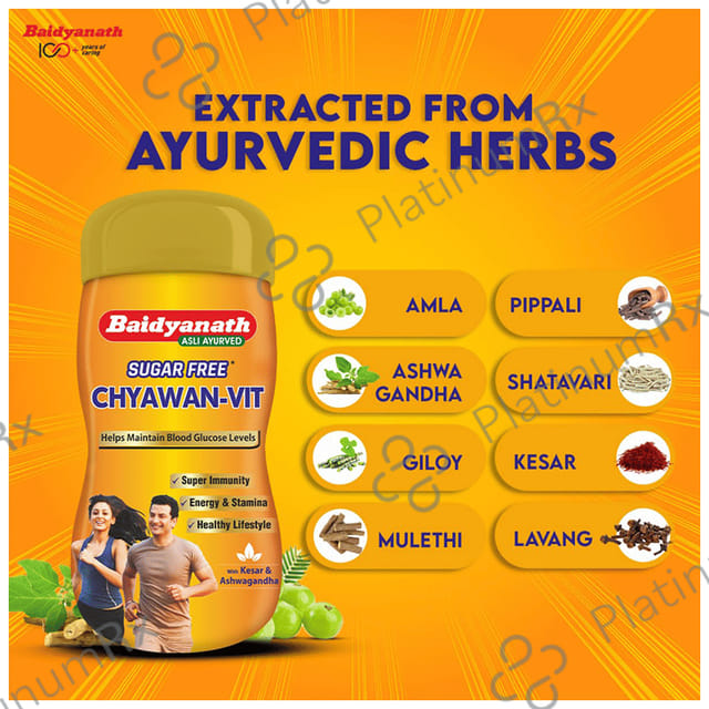 Baidyanath Chyawan Vit Sugarfree Chyawanprash 500gm
