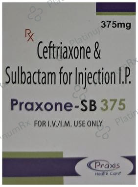 Praxone SB 375mg Injection 1s