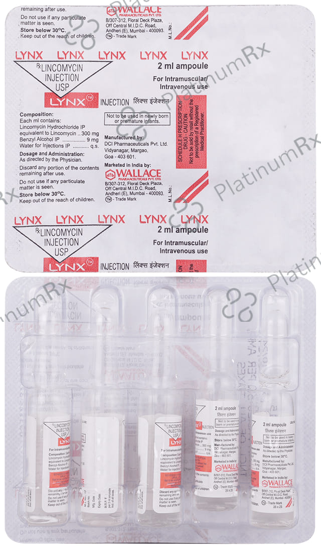 Lynx 300mg Injection 1X2ml
