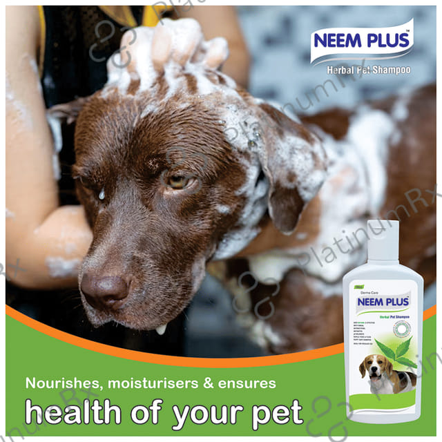 Dermacare Neem Plus Herbal Pet Shampoo