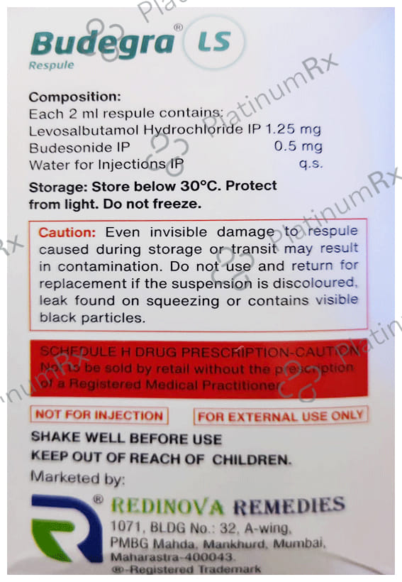 Budegra LS (Preservative Free) 500mcg/1.25mg Respule 5X2ml