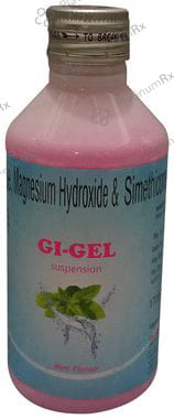 GI Gel Oral Suspension Mint 170ml