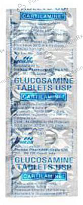 Cartilamine 500mg Tablet 10s