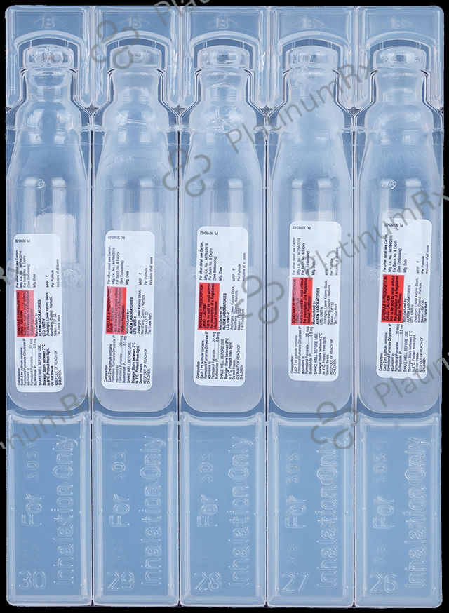 Pulmosmart 0.5/20mcg Pulmules Solution 2ml
