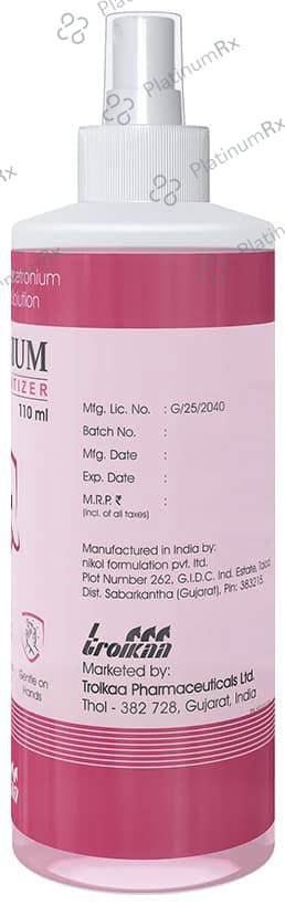 Hyginium Hand Sanitizer Solution 110ml