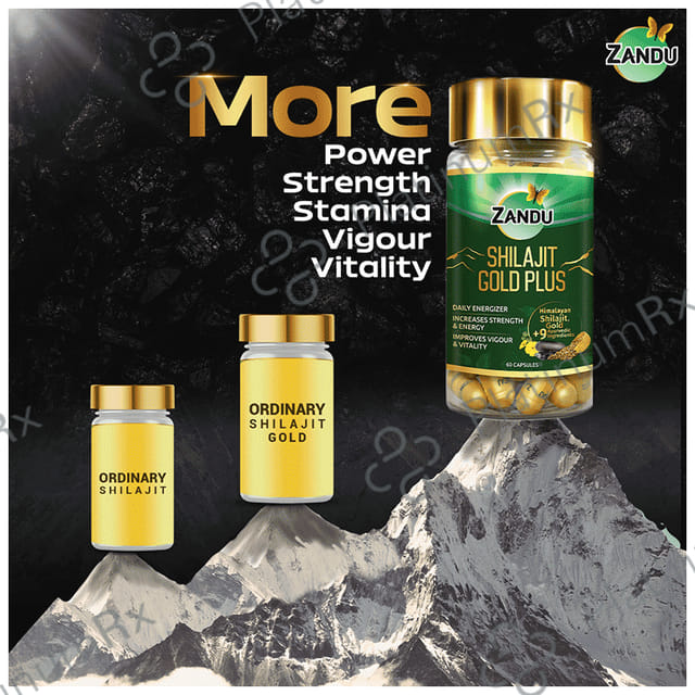 Zandu 500mg Shilajit Gold Plus Capsule 60s
