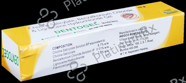 Dentogel Dental Gel 15gm