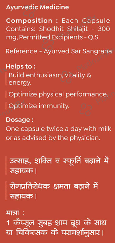 Baidyanath (Nagpur) Shodhit Shilajit Capsule 50s