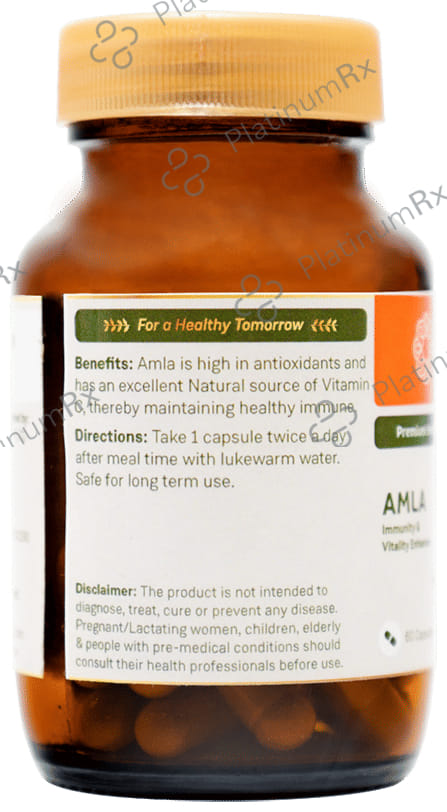Sitaram Ayurveda Amla Capsule