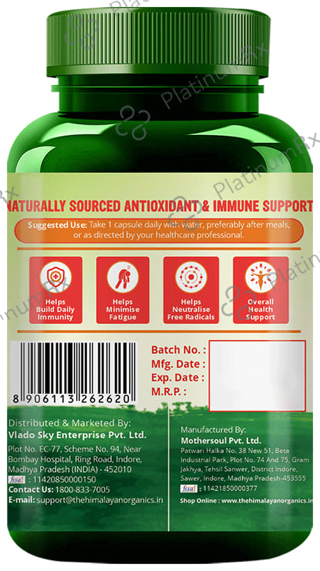 Himalayan Organics Plant Based Zinc Vitamin C Vegetarian Capsule