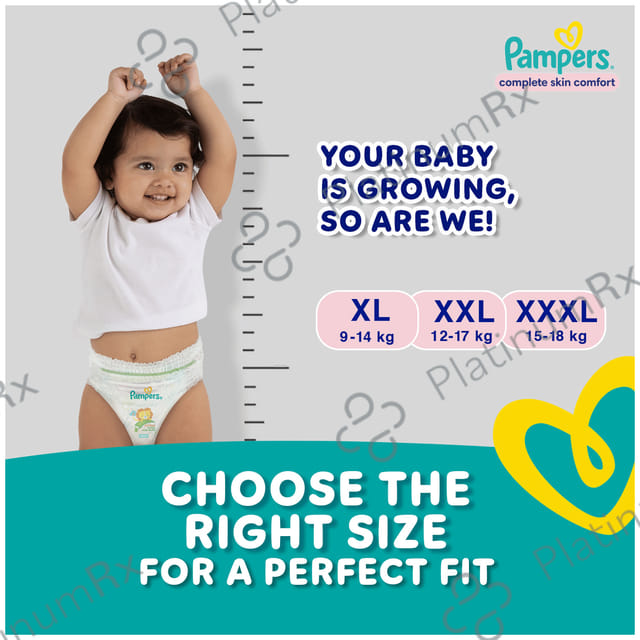 Pampers All-Round Protection Anti Rash Blanket Diaper Lotion with Aloe Vera XL