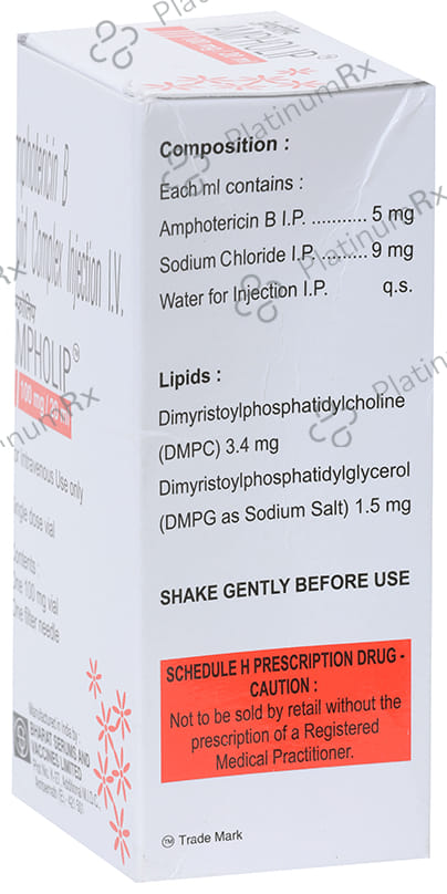 Ampholip 100mg Injection 1s