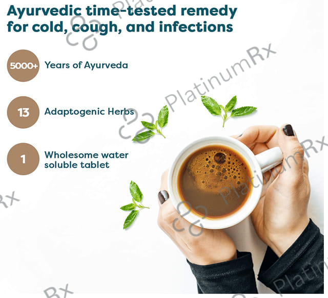 Wellbeing Nutrition Grandma's Kadha - Herbal Healing Water Soluble Tablet (15 Each) 1 Bottle