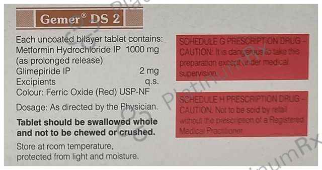 Gemer DS 2 Tablet PR