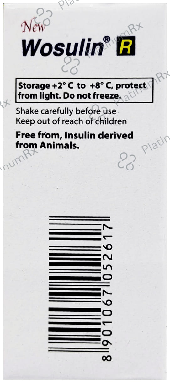 New Wosulin R (40 IU/ml) Vial 1X15ml