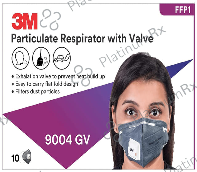 3M 9004GV Particulate Respirator Mask